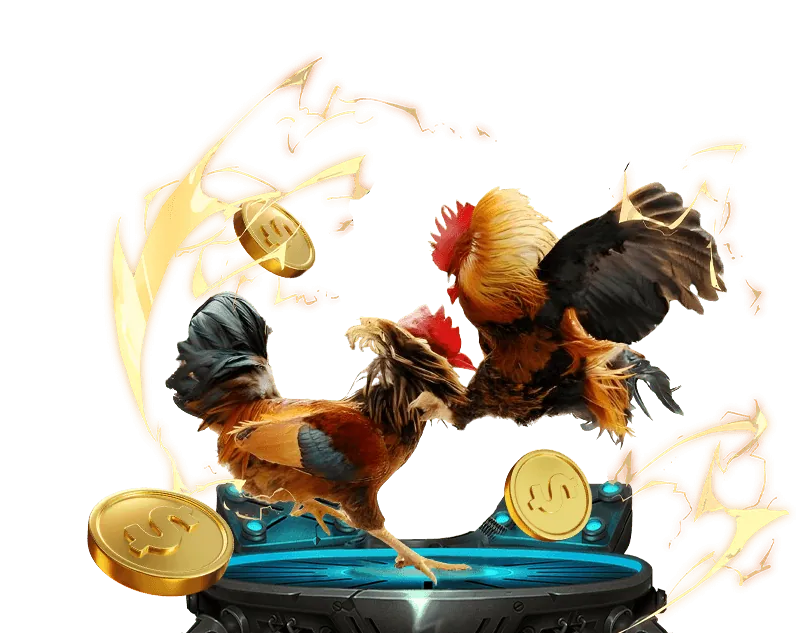 Trực tiếp đá gà chất lượng cao tại Fun88